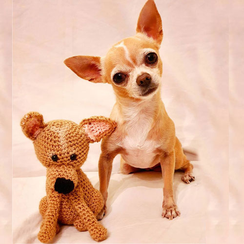 Amigurumi-Chihuahua-Amigurumi-Cane-Marrone