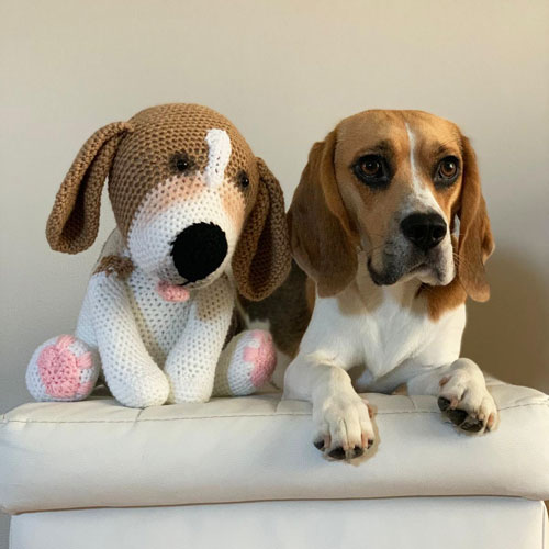 Amigurumi-Cane-Beagle-Sunny-uncinetto