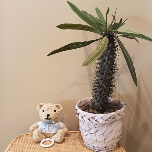 Amigurumi orsetto all´uncinetto con Carillon