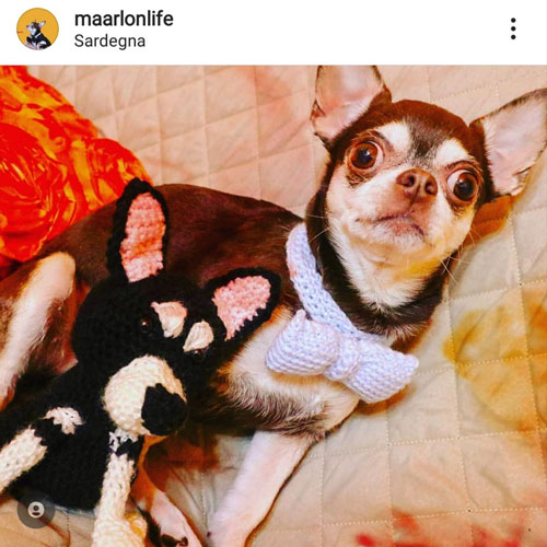 Marlon-con-Papillon-e-Amigurumi