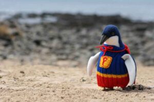 Alfred Date aiuta i pinguini con maglioni all´uncinetto - pinguino di prova con maglione