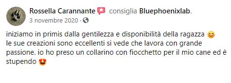 Rossella-Carannante-recensione-Bluephoenixlab