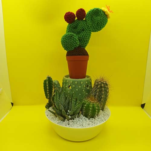 Cactus-amigurumi-uncinetto