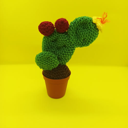 Cactus-amigurumi-uncinetto-2