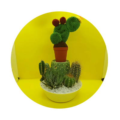 Bluephoenixlab Lavori all'uncinetto - Accessori per la casa